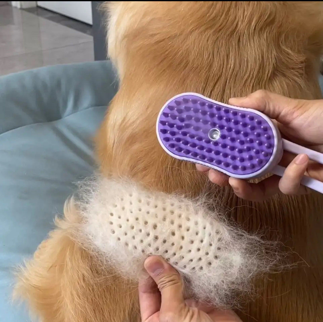 3 In 1 Water Pet Brush